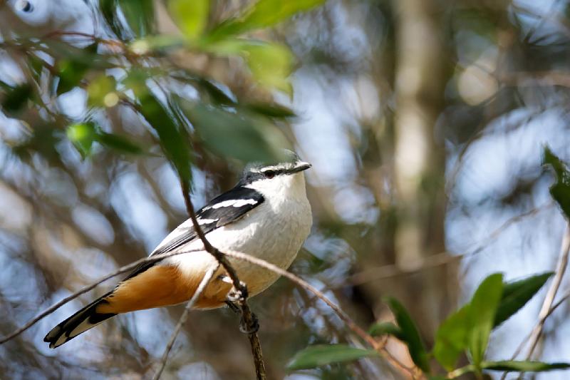 2007 05 16 Fraser Island 023_DXO.jpg